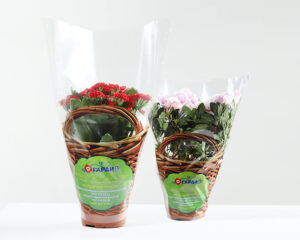 sleeves-for-flowers-where-practicality-meets-elegance