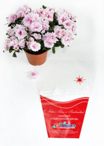 Potted Flower Packaging: Tht best Materials for Protection