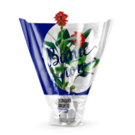 Cone-bags-for-flowers-in-bulk