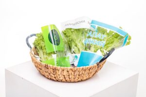 buy-bags-for-greens-why-is-it-the-right-choice-for-your-business