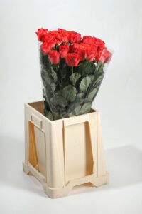 Perforated-film-for-flowers