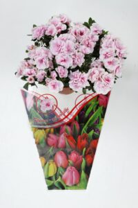Cone-bags-for-flowers-in-bulk